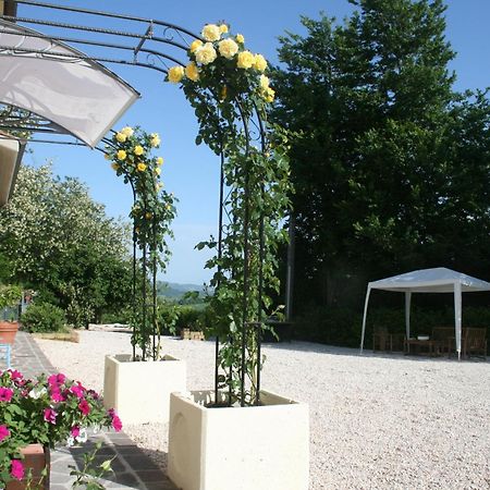 B&B La Fenice Montegridolfo Luaran gambar